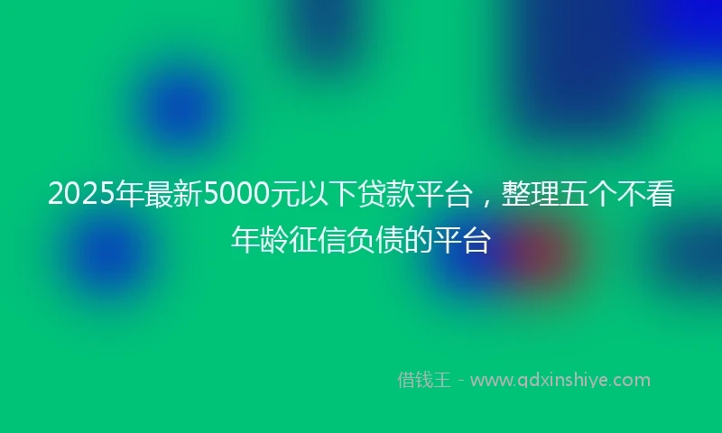 2025年最新5000元以下贷款平台，整理五个不看年龄征信负债的平台