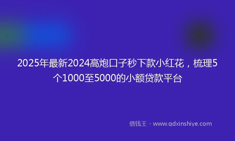 2025年最新2024高炮口子秒下款小红花，梳理5个1000至5000的小额贷款平台