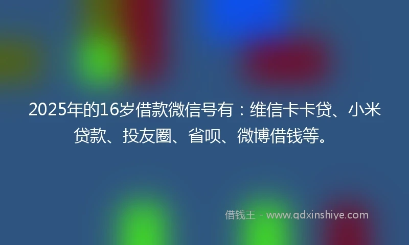 2025年的16岁借款微信号有：维信卡卡贷、小米贷款、投友圈、省呗、微博借钱等。