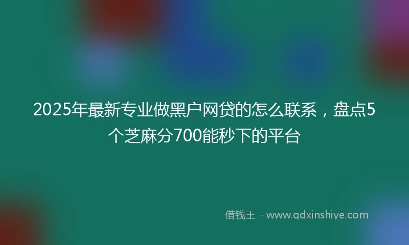 2025年最新专业做黑户网贷的怎么联系，盘点5个芝麻分700能秒下的平台