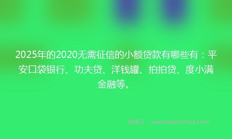 2025年的2020无需征信的小额贷款有哪些有：平安口袋银行、功夫贷、洋钱罐、拍拍贷、度小满金融等。