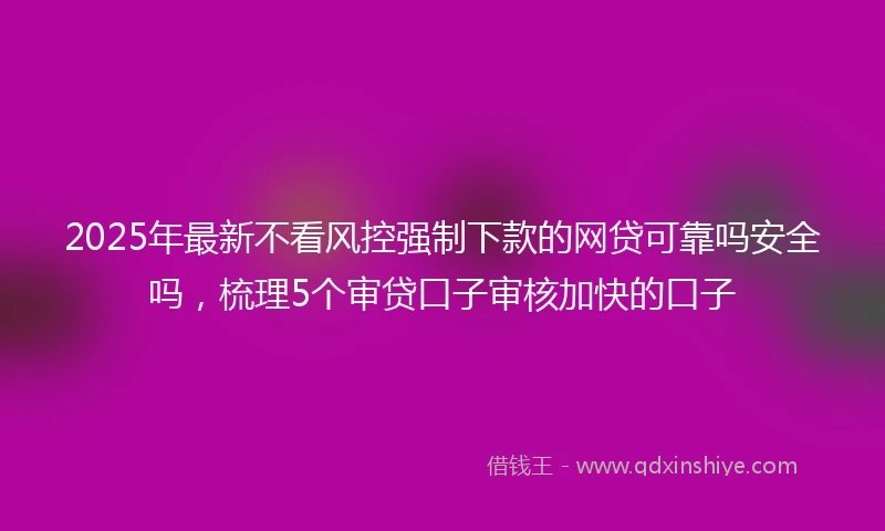 2025年最新不看风控强制下款的网贷可靠吗安全吗，梳理5个审贷口子审核加快的口子