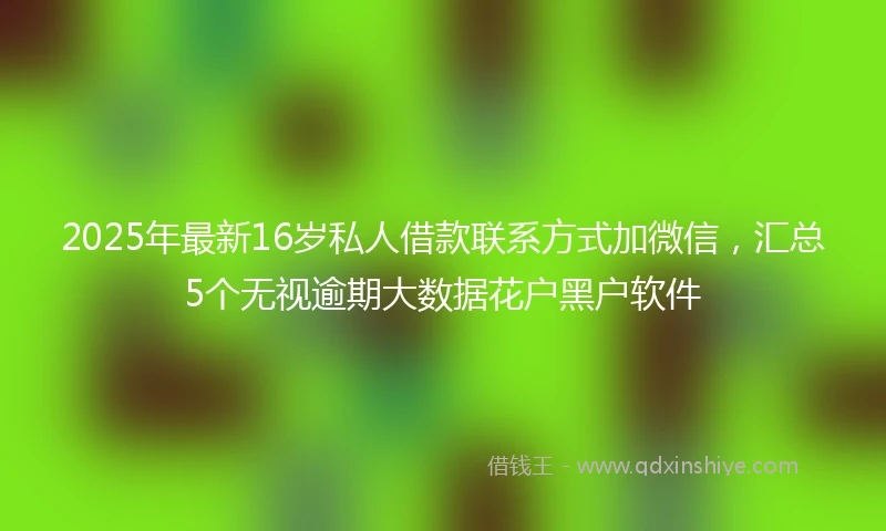 2025年最新16岁私人借款联系方式加微信，汇总5个无视逾期大数据花户黑户软件