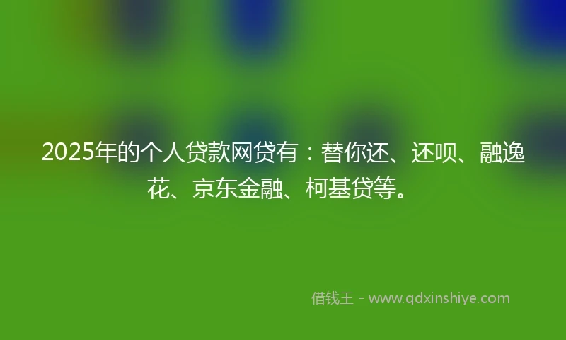 2025年的个人贷款网贷有：替你还、还呗、融逸花、京东金融、柯基贷等。