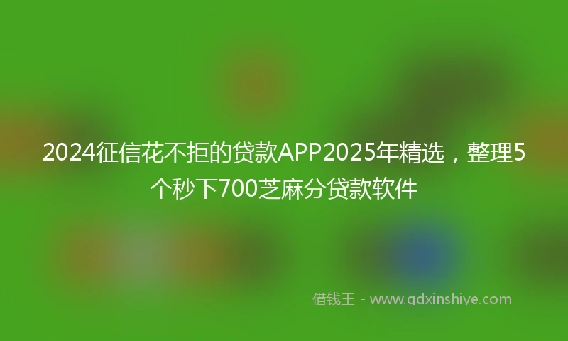 2024征信花不拒的贷款APP2025年精选，整理5个秒下700芝麻分贷款软件