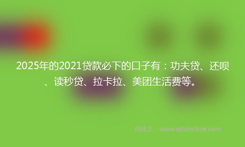 2025年的2021贷款必下的口子有：功夫贷、还呗、读秒贷、拉卡拉、美团生活费等。