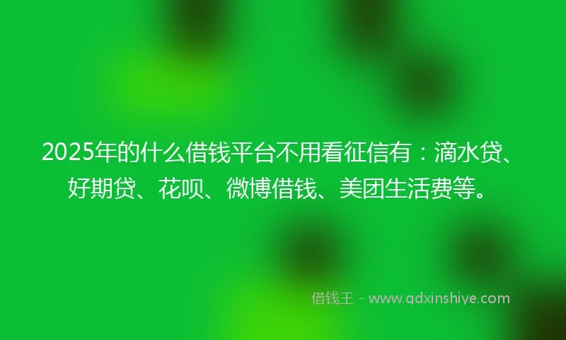 2025年的什么借钱平台不用看征信有：滴水贷、好期贷、花呗、微博借钱、美团生活费等。