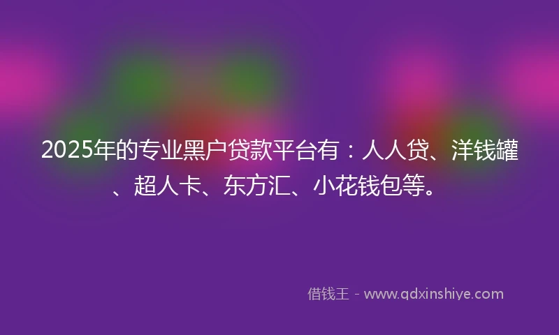 2025年的专业黑户贷款平台有：人人贷、洋钱罐、超人卡、东方汇、小花钱包等。