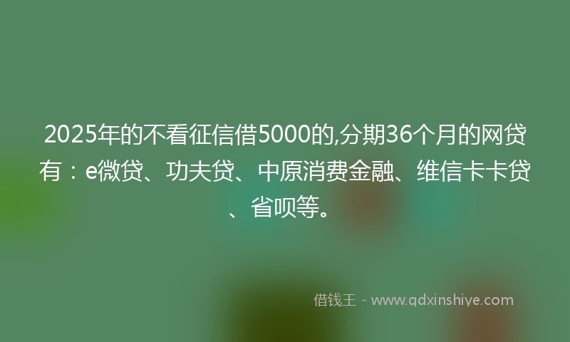 2025年的不看征信借5000的,分期36个月的网贷有：e微贷、功夫贷、中原消费金融、维信卡卡贷、省呗等。