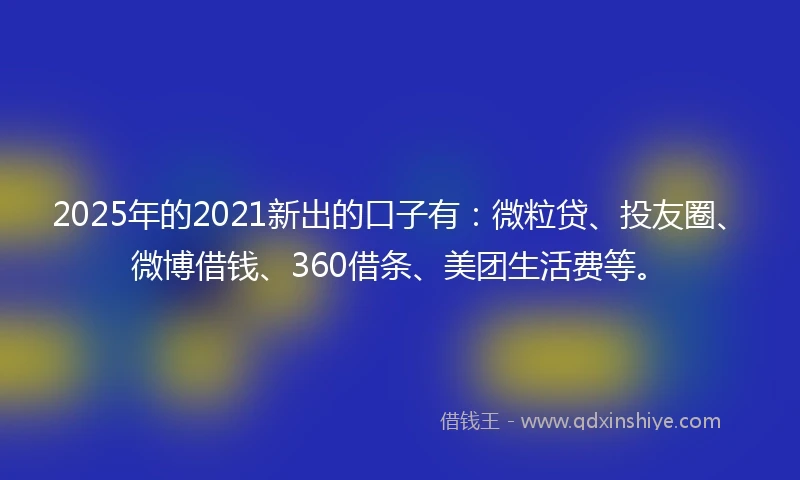 2025年的2021新出的口子有：微粒贷、投友圈、微博借钱、360借条、美团生活费等。