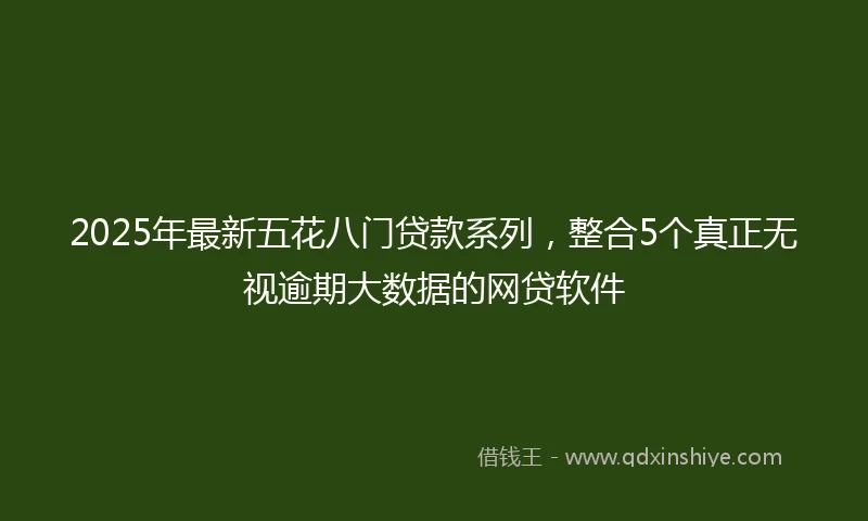 2025年最新五花八门贷款系列，整合5个真正无视逾期大数据的网贷软件
