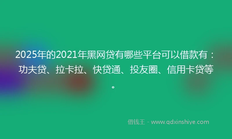 2025年的2021年黑网贷有哪些平台可以借款有：功夫贷、拉卡拉、快贷通、投友圈、信用卡贷等。