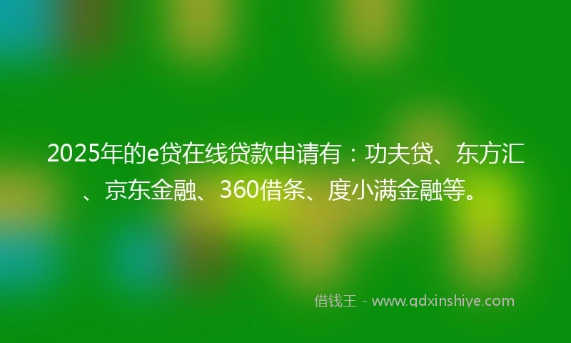 2025年的e贷在线贷款申请有：功夫贷、东方汇、京东金融、360借条、度小满金融等。