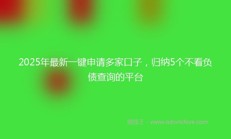 2025年最新一键申请多家口子，归纳5个不看负债查询的平台