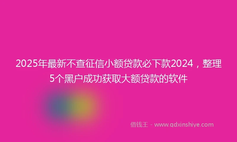 2025年最新不查征信小额贷款必下款2024，整理5个黑户成功获取大额贷款的软件
