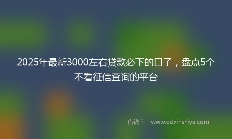 2025年最新3000左右贷款必下的口子，盘点5个不看征信查询的平台