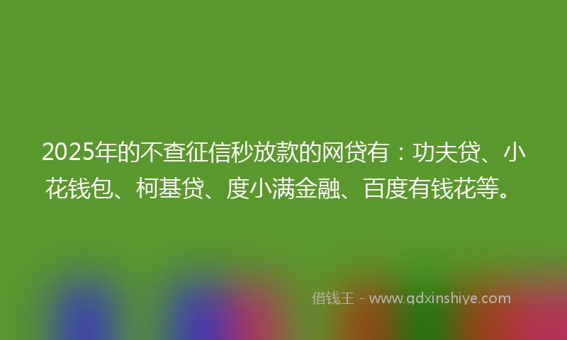 2025年的不查征信秒放款的网贷有：功夫贷、小花钱包、柯基贷、度小满金融、百度有钱花等。