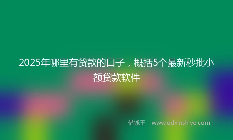 2025年哪里有贷款的口子，概括5个最新秒批小额贷款软件