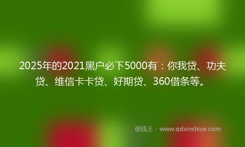 2025年的2021黑户必下5000有：你我贷、功夫贷、维信卡卡贷、好期贷、360借条等。