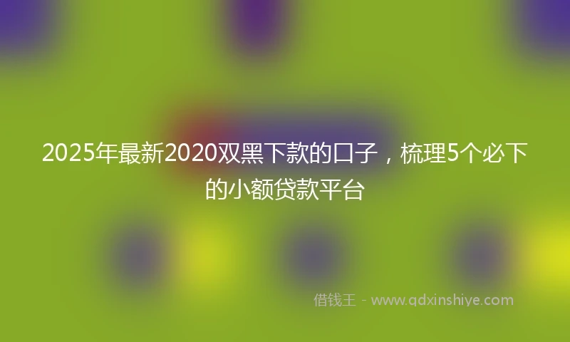 2025年最新2020双黑下款的口子，梳理5个必下的小额贷款平台