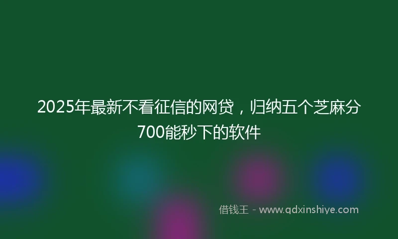 2025年最新不看征信的网贷，归纳五个芝麻分700能秒下的软件