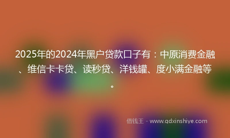 2025年的2024年黑户贷款口子有：中原消费金融、维信卡卡贷、读秒贷、洋钱罐、度小满金融等。
