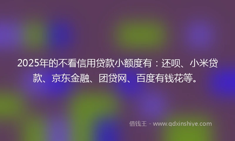 2025年的不看信用贷款小额度有：还呗、小米贷款、京东金融、团贷网、百度有钱花等。