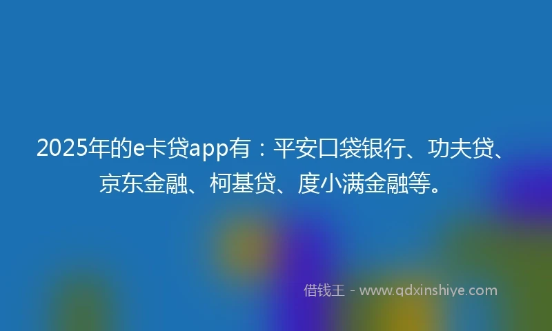 2025年的e卡贷app有：平安口袋银行、功夫贷、京东金融、柯基贷、度小满金融等。