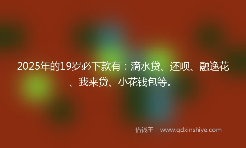 2025年的19岁必下款有：滴水贷、还呗、融逸花、我来贷、小花钱包等。
