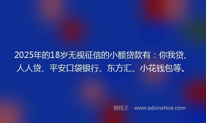2025年的18岁无视征信的小额贷款有：你我贷、人人贷、平安口袋银行、东方汇、小花钱包等。