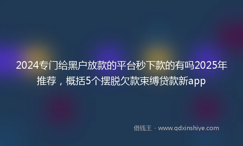 2024专门给黑户放款的平台秒下款的有吗2025年推荐，概括5个摆脱欠款束缚贷款新app