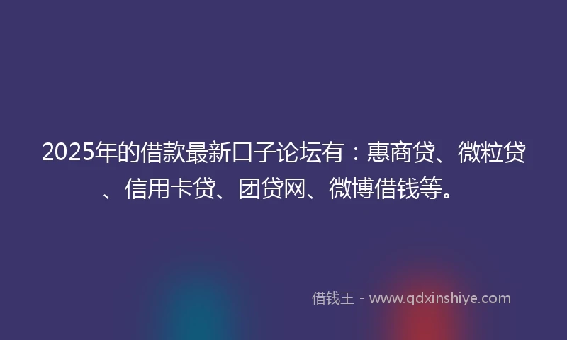 2025年的借款最新口子论坛有：惠商贷、微粒贷、信用卡贷、团贷网、微博借钱等。