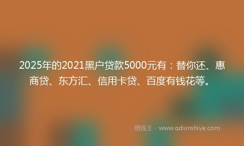2025年的2021黑户贷款5000元有：替你还、惠商贷、东方汇、信用卡贷、百度有钱花等。