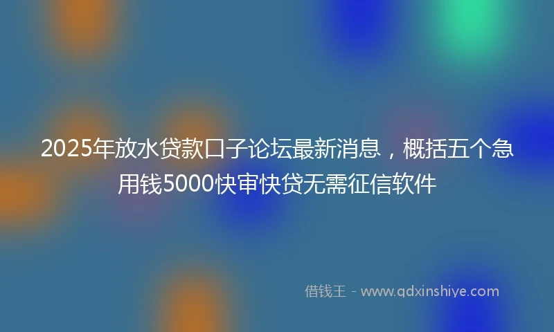 2025年放水贷款口子论坛最新消息，概括五个急用钱5000快审快贷无需征信软件