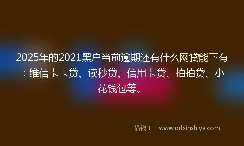 2025年的2021黑户当前逾期还有什么网贷能下有：维信卡卡贷、读秒贷、信用卡贷、拍拍贷、小花钱包等。