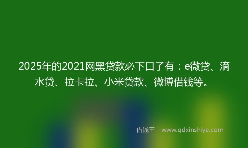 2025年的2021网黑贷款必下口子有：e微贷、滴水贷、拉卡拉、小米贷款、微博借钱等。