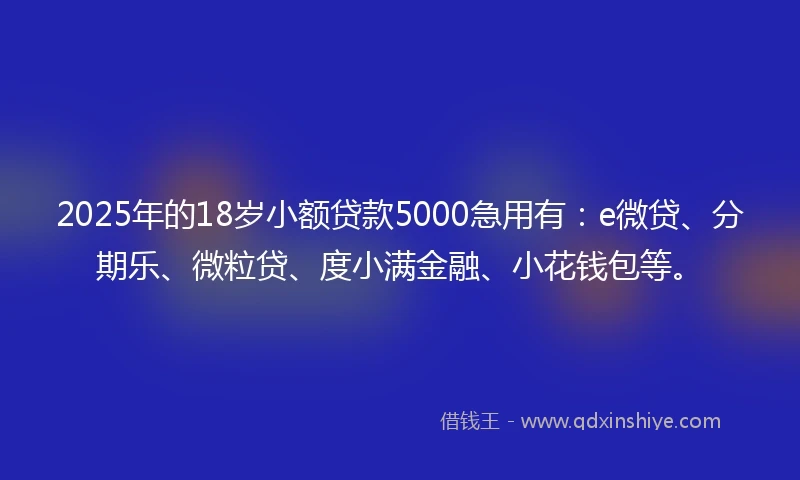 2025年的18岁小额贷款5000急用有：e微贷、分期乐、微粒贷、度小满金融、小花钱包等。