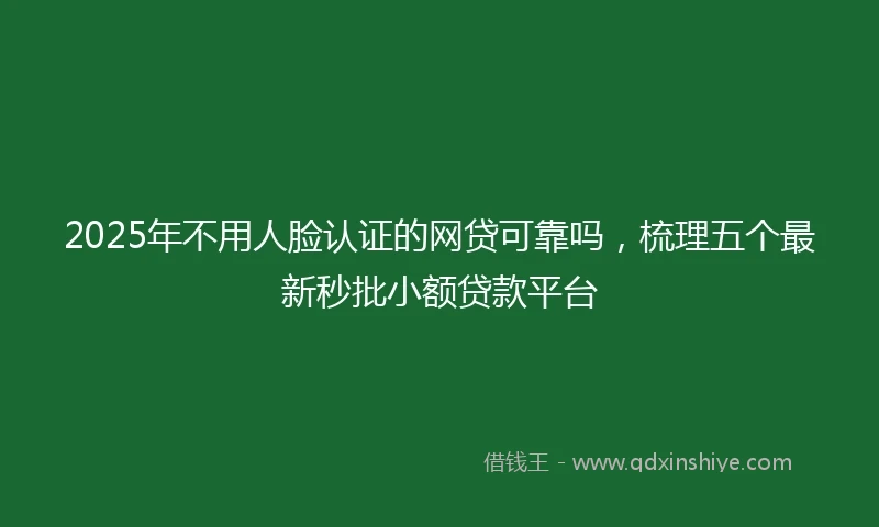 2025年不用人脸认证的网贷可靠吗，梳理五个最新秒批小额贷款平台