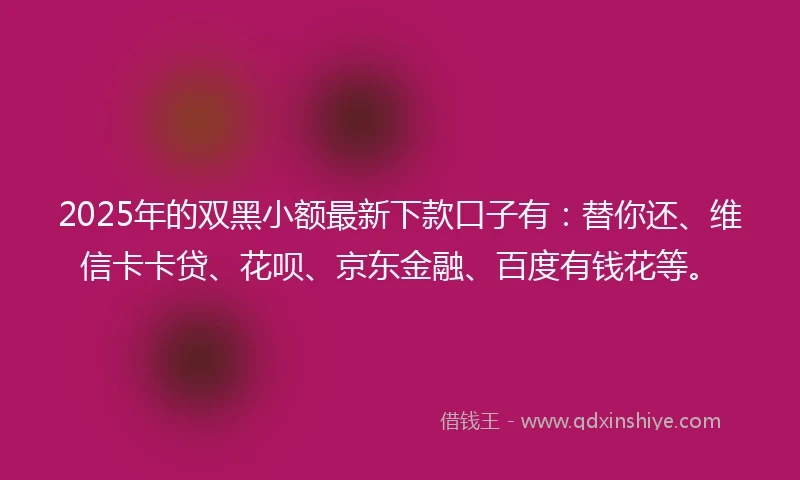 2025年的双黑小额最新下款口子有：替你还、维信卡卡贷、花呗、京东金融、百度有钱花等。