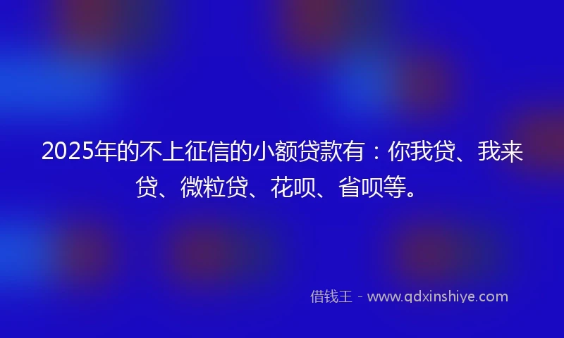 2025年的不上征信的小额贷款有：你我贷、我来贷、微粒贷、花呗、省呗等。