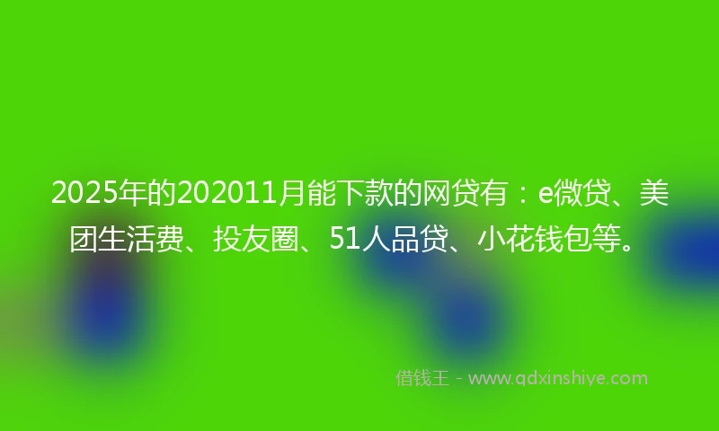 2025年的202011月能下款的网贷有：e微贷、美团生活费、投友圈、51人品贷、小花钱包等。