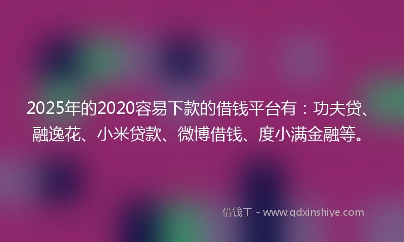2025年的2020容易下款的借钱平台有：功夫贷、融逸花、小米贷款、微博借钱、度小满金融等。