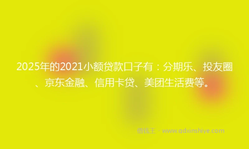 2025年的2021小额贷款口子有：分期乐、投友圈、京东金融、信用卡贷、美团生活费等。