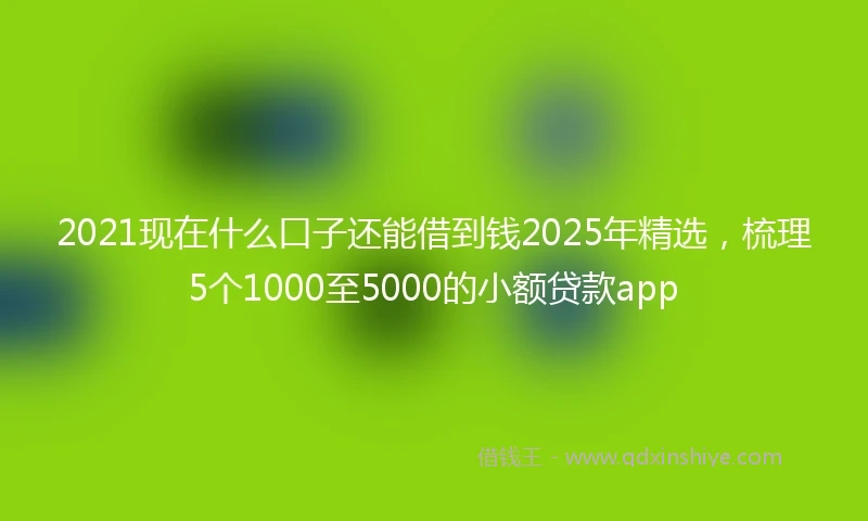 2021现在什么口子还能借到钱2025年精选，梳理5个1000至5000的小额贷款app