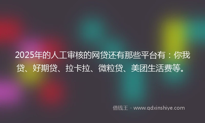 2025年的人工审核的网贷还有那些平台有：你我贷、好期贷、拉卡拉、微粒贷、美团生活费等。