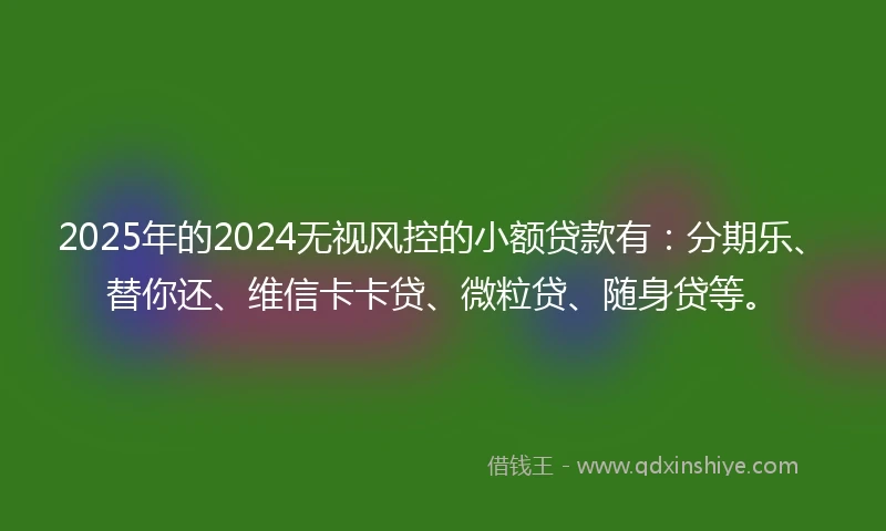 2025年的2024无视风控的小额贷款有：分期乐、替你还、维信卡卡贷、微粒贷、随身贷等。