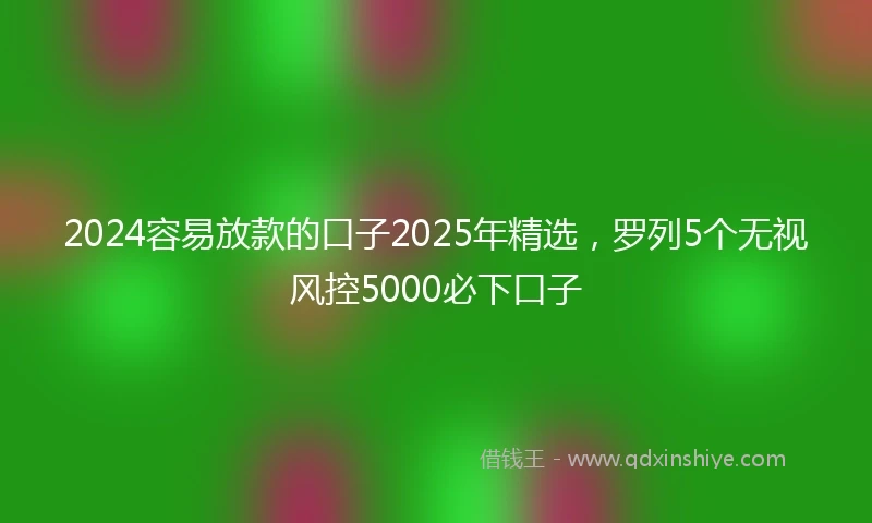 2024容易放款的口子2025年精选，罗列5个无视风控5000必下口子