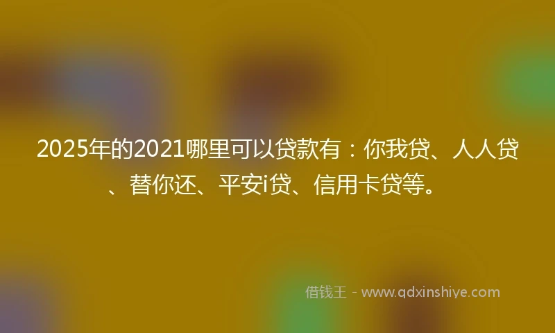 2025年的2021哪里可以贷款有：你我贷、人人贷、替你还、平安i贷、信用卡贷等。