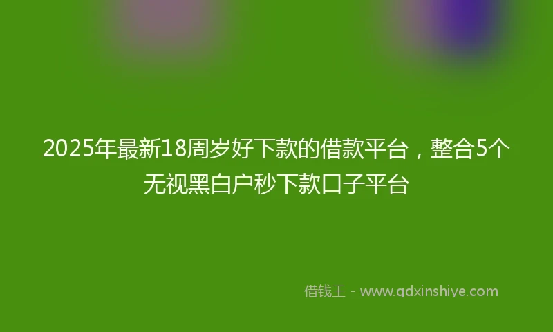 2025年最新18周岁好下款的借款平台，整合5个无视黑白户秒下款口子平台