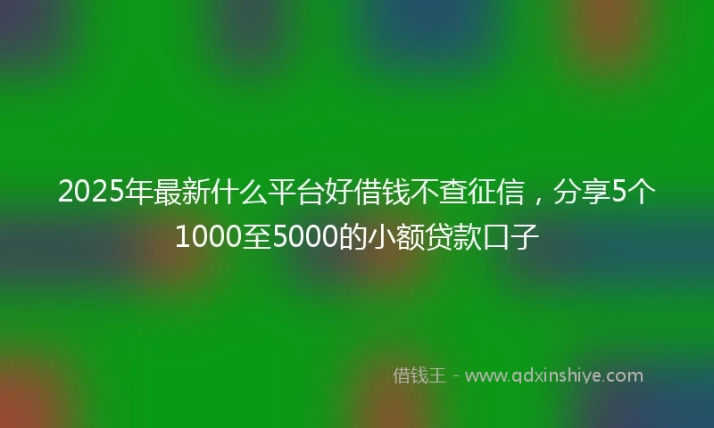 2025年最新什么平台好借钱不查征信，分享5个1000至5000的小额贷款口子